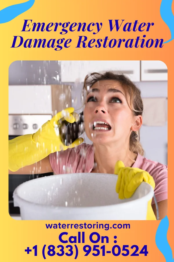 Emergency Water Damage Restoration in Lyerly, GA