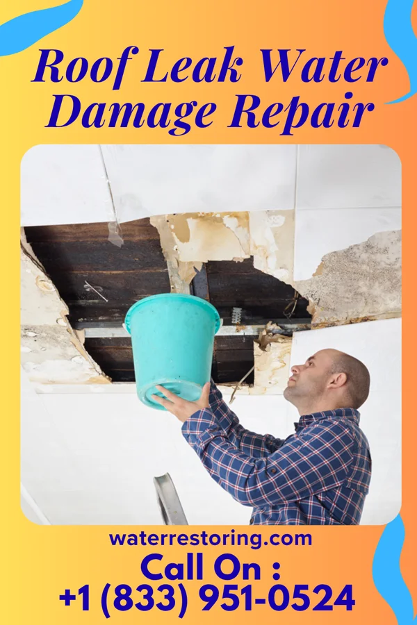 Roof Leak Water Damage Repair in Lyerly, GA
